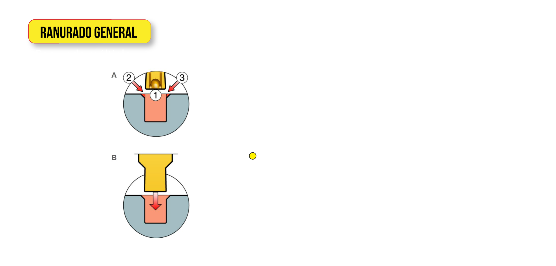 Consejos prácticos